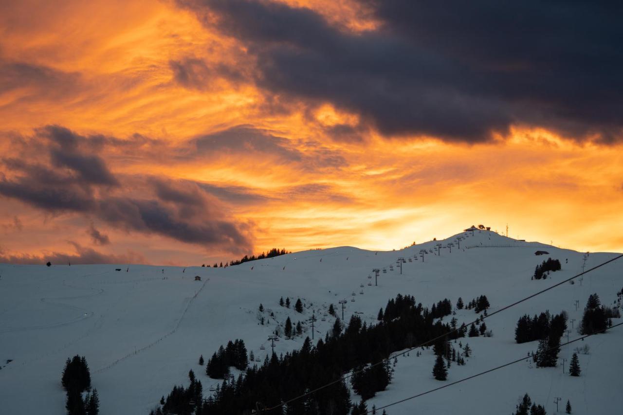 Les Saisies Appart 1 Chambre Au Pied Des Pistes Екстериор снимка